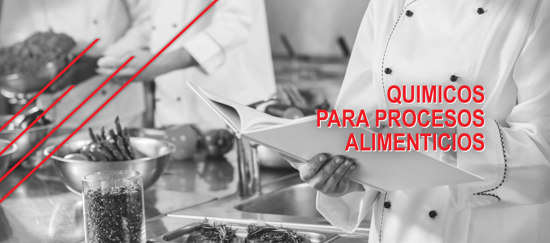 Químicos para procesos alimenticios,  quimicos como humectantes, emulsificantes, lubricantes etc.